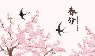 2022年春分的寓意和象征（2021年春分是什么意思）
