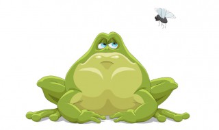 蟾蜍怎么养(蟾蜍怎么养活吃什么)