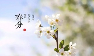 春分前面一个节气是什么节气 春分的上一个节气是什么
