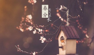 2022年春分节气当天可不可以办满月酒 节气可以办满月酒吗