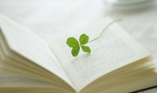 关于天空的唯美句子简短（关于天空的优美短句）