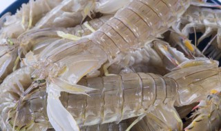 孕妇梦见虾（孕妇梦见虾和鱼是什么意思）