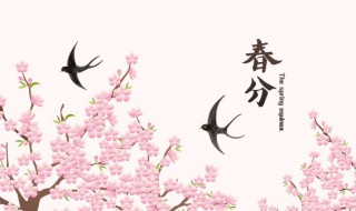 春分不能同房吗 春分节气能同房吗