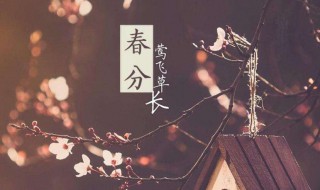 春分后十五日是什么节日（春分后十五日是什么日子）