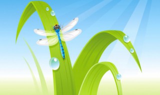 益虫益鸟有哪些功劳（益虫益鸟是什么）