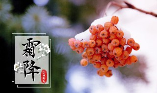 霜降有什么吉祥寓意 霜降预示着什么