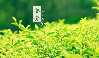 2022年春分具体时间（春分时间2020）