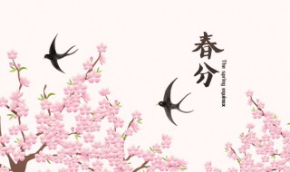 2022年春分黄历好坏（2021年农历春分）