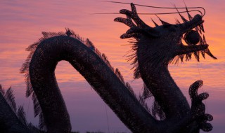 二月二龙抬头有哪些讲究和禁忌(二月二龙抬头忌讳什么)