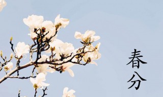 2022年春分在几号（2022年春分是几号）