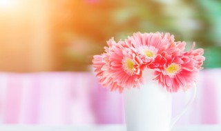 2022年妇女节可以干什么（2022年的妇女）