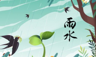 雨水节气天气特点（雨水节气的天气特点）