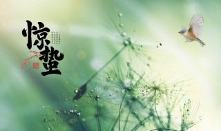 2022年惊蛰是什么节气（2021惊蛰节气的特点和风俗）