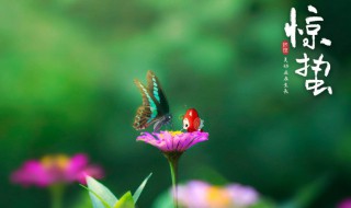 惊蛰时间2022几点几分 惊蛰是几月几号2022