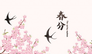 2022年春分前一天不能出门吗 2020年春节后哪天可以出门