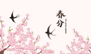 2022年春分时间是几月几号 2022年立春是几月几号几点几分春是几月几号