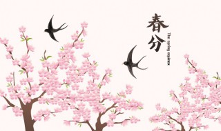 春分一候海棠啥意思 海棠春什么意思