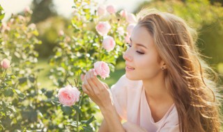 春分古诗词十二首（春分的七言古诗）