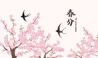 2022年春分节气是不是吉日 2021年春分节气时间