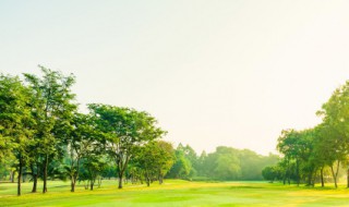 2022年植树节是几月几日几分几秒（2020年植树节是几月几日）