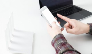 简约森系男生网名 简单森系网名