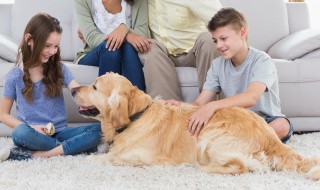 怎么和叛逆期的孩子沟通 怎么才能和叛逆期的孩子沟通