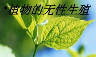 无性生殖和单性生殖的区别是什么（有性生殖与无性生殖的区别是什么）