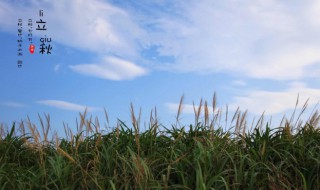 为什么立秋要贴秋膘（为什么秋天要贴秋膘）