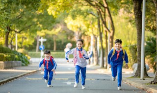 什么的鹿角 什么的鹿角填空词语