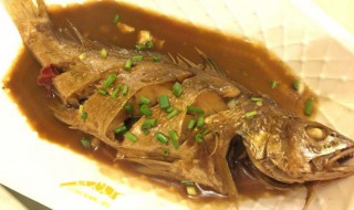 红烧黄姑鱼的做法 红烧黄姑鱼的做法大全窍门窍门