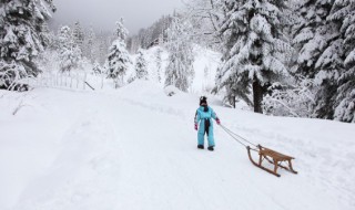 滑雪前不能吃太饱是为什么 滑雪前能不能吃太饱是为什么