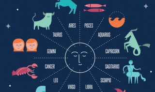 12.17是什么星座 1990年12.17是什么星座