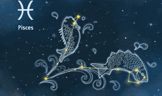 八月六号是什么星座 1996年八月六号是什么星座