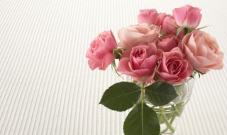 七夕情人节送花祝福语 七夕情人节花语祝福语大全