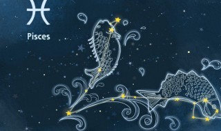 2.9是什么星座（2月是什么星座）