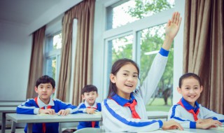 仔组词有哪些（查组词有哪些）