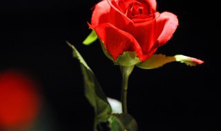 2022母亲节的祝福语（祝福母亲节的话语2021）