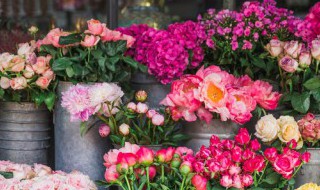 母亲节祝福语短信（母亲节祝福妈妈的短信）