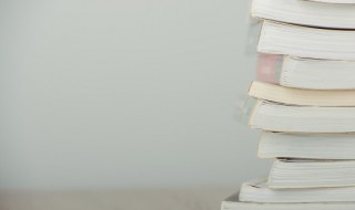 傅雷家书读后感300 傅雷家书读后感300字左右