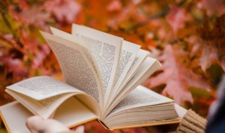 情人节鲜花祝福语（情人节鲜花祝福语简短10字）