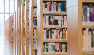 骆驼祥子内容梗概（骆驼祥子内容梗概300字左右）