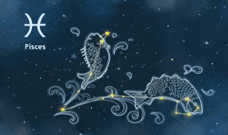 十月二十四是什么星座 1991年农历十月二十四是什么星座