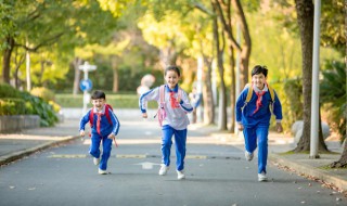 学历性质填什么（高中学历性质填什么）