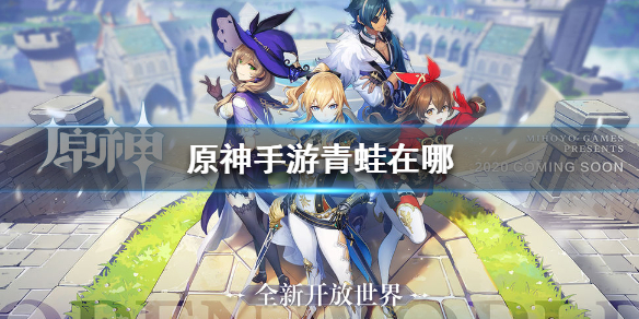 原神青蛙 原神青蛙在哪里买