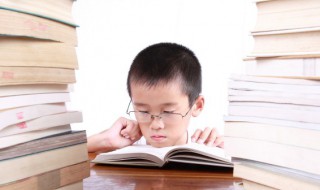 力字旁（力字旁的字有哪些字）