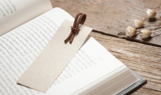 无关爱情的高质量温柔文案（文案温柔不关爱情）