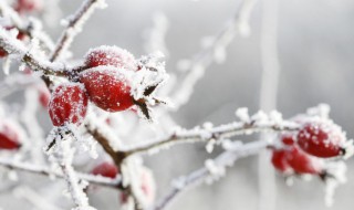 关于冬天的说说（关于冬天的说说发朋友圈）