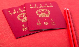 2022年惊蛰适合领证吗 惊蛰能领证吗