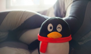 qq空间让人惊艳的可爱沙雕的文案(qq空间文案沙雕简短)