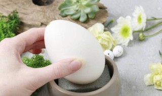 假鹅蛋和真鹅蛋的区别 假鹅蛋和真鹅蛋口感